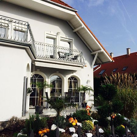 Judit Vendeghaz Bük Exteriör bild